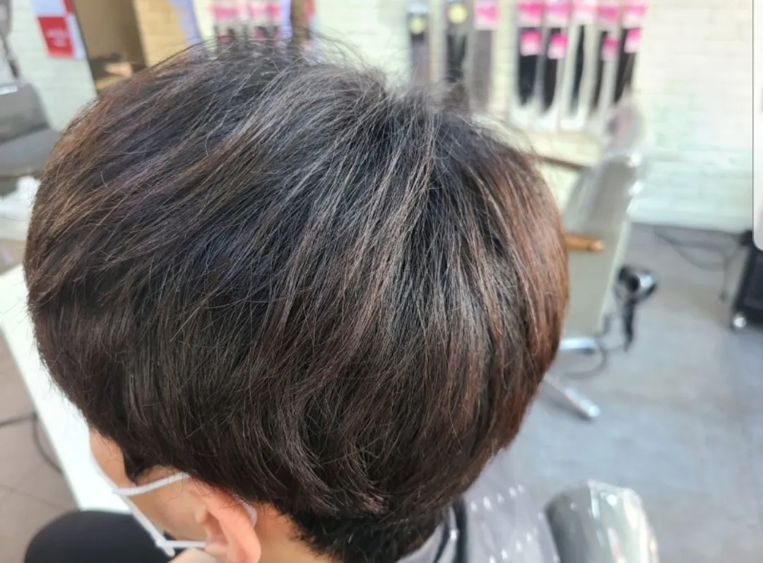 이미지 6