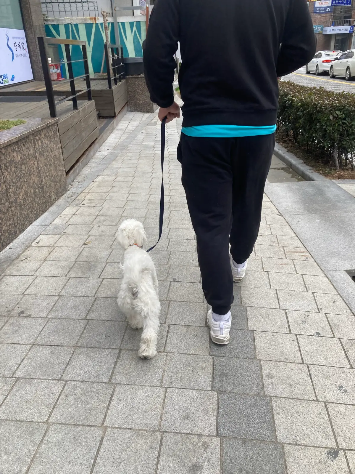 이미지 12