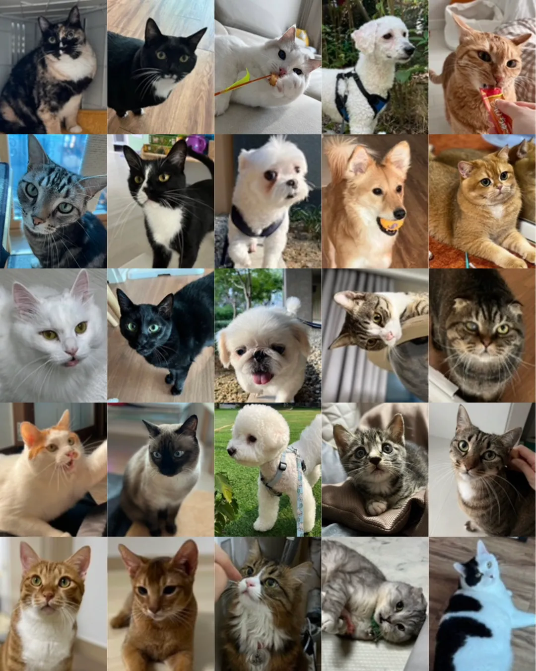 이미지 7