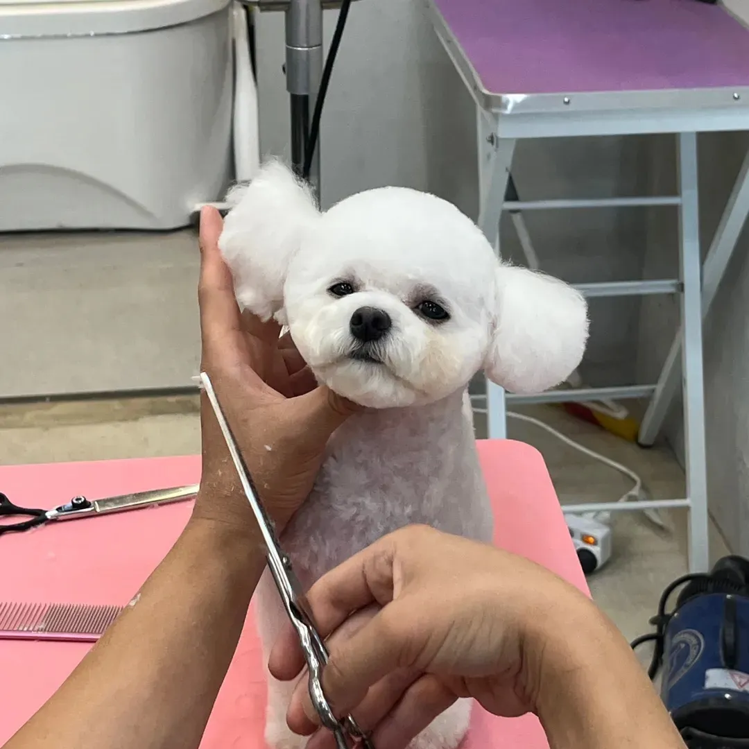 이미지 9