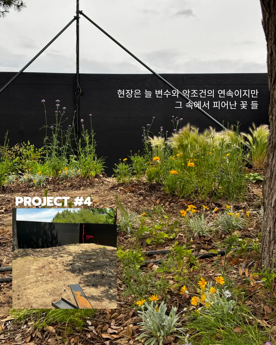 이미지 12