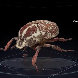 의령 곤충박물관 멸종 위기종 홀로그램 3D 영상 제작