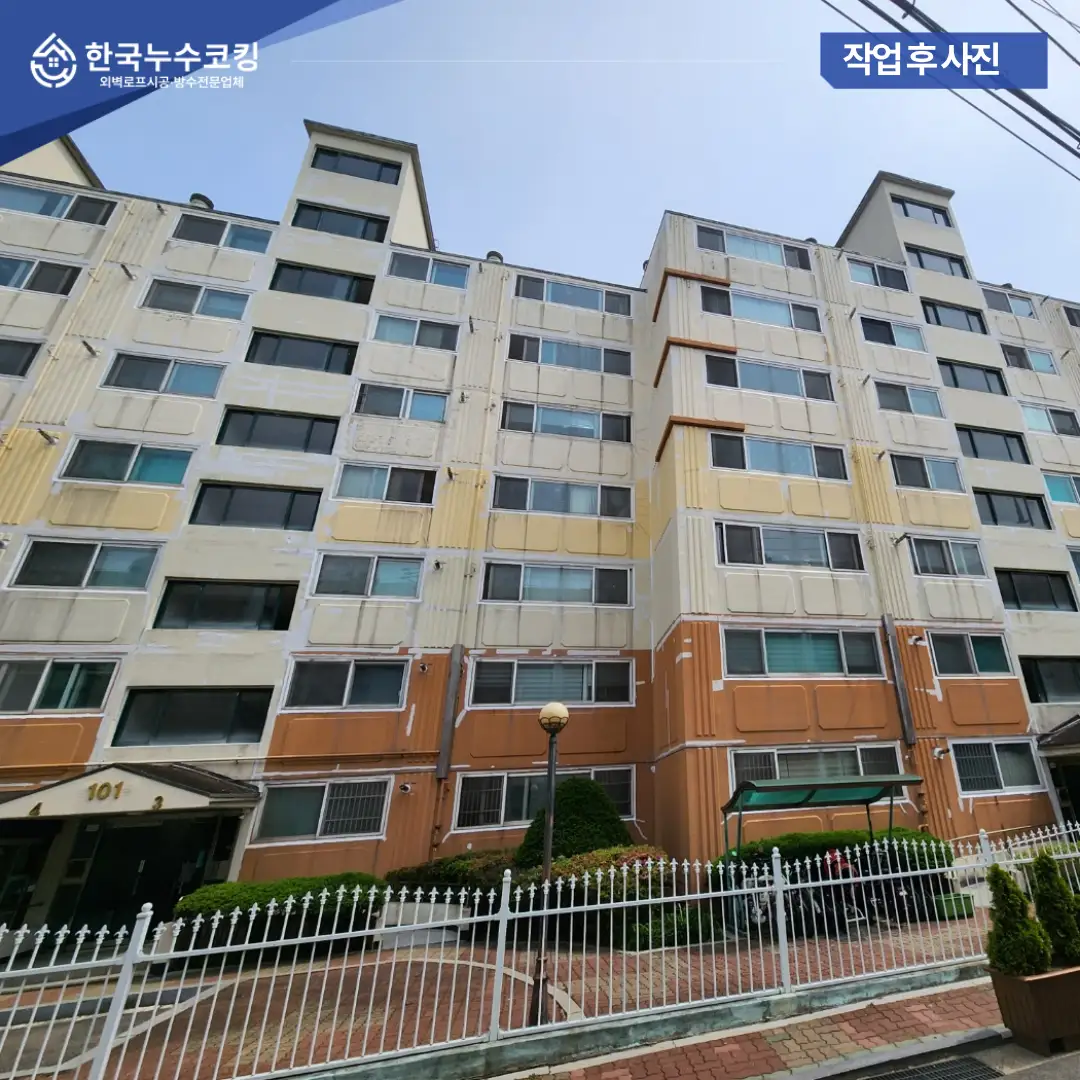 이미지 12
