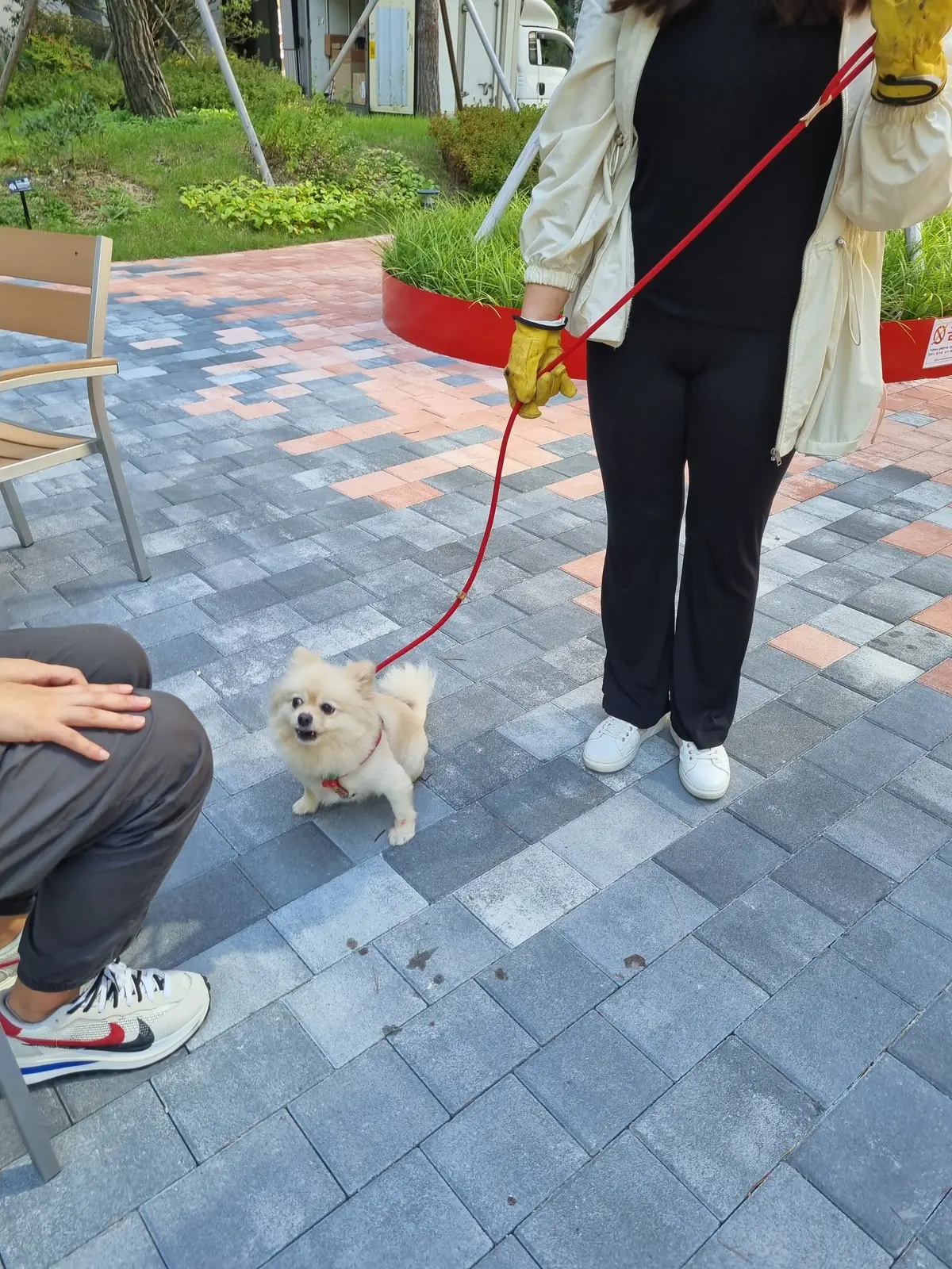 이미지 7
