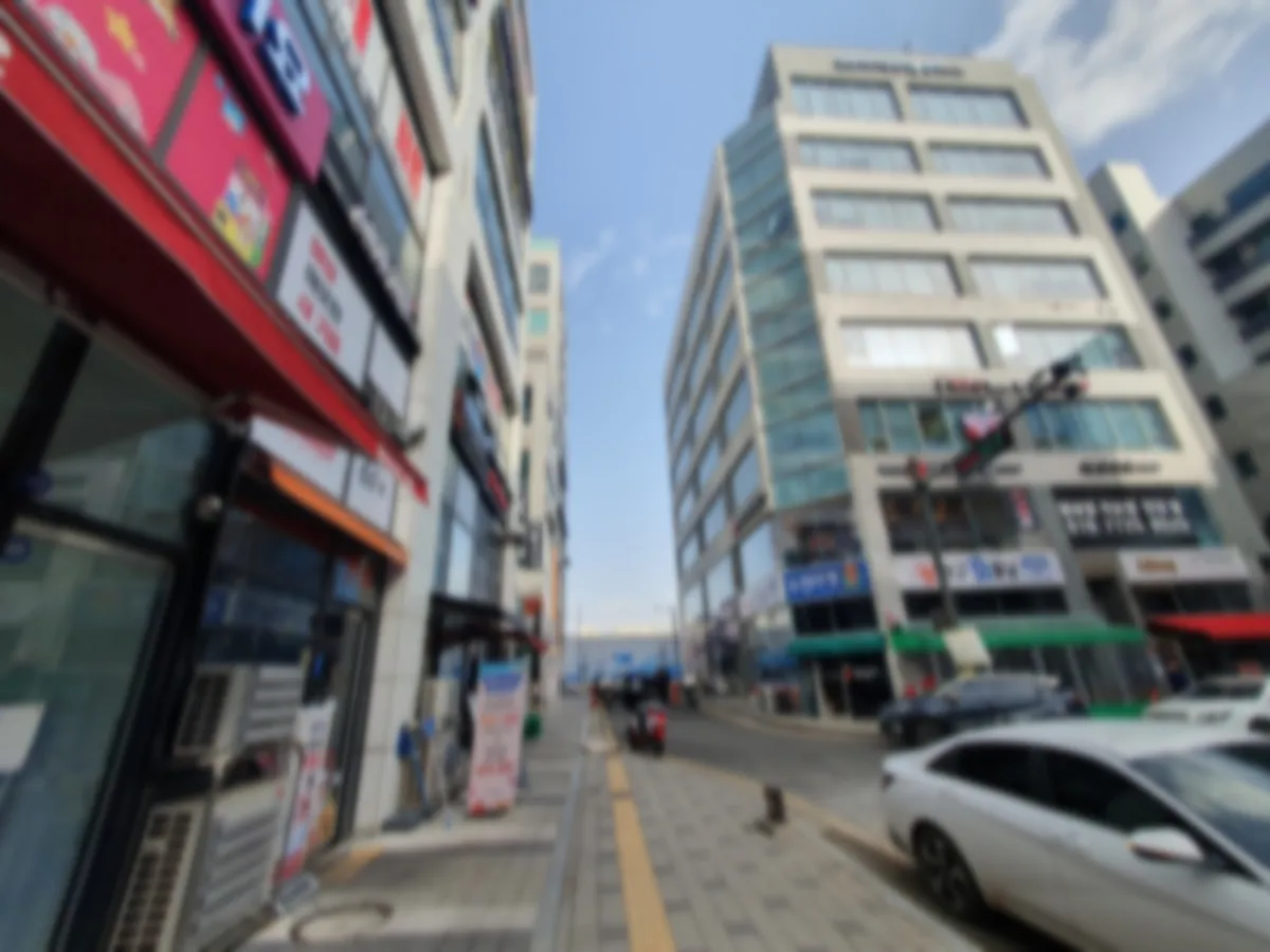 이미지 5