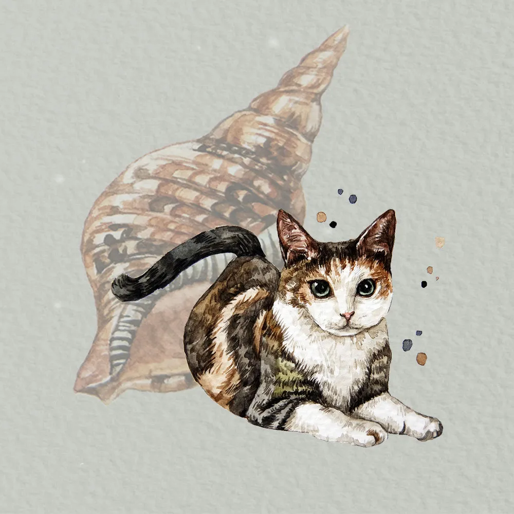 이미지 7