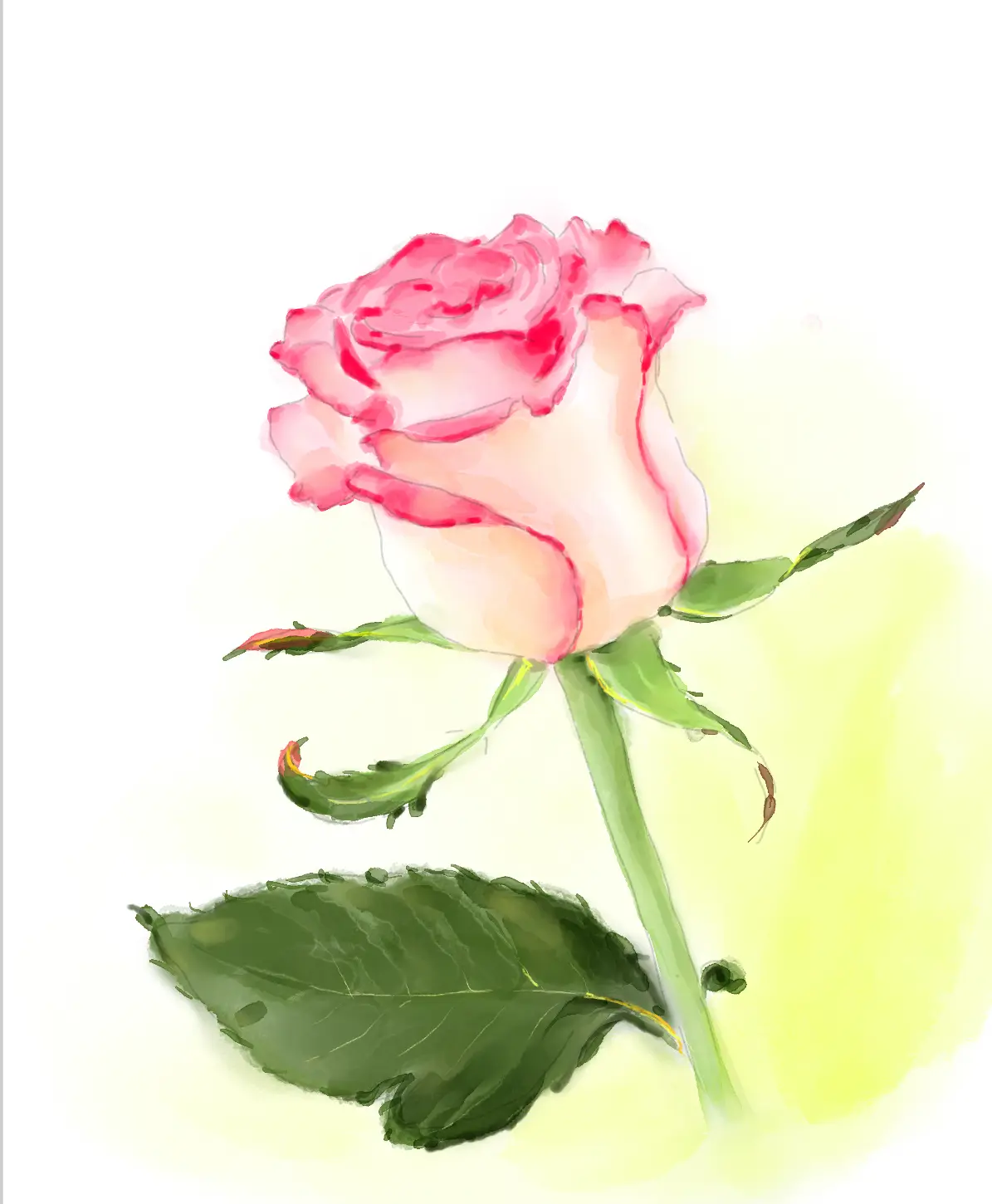 이미지 8