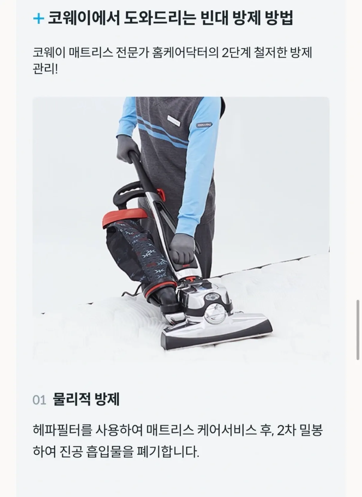 이미지 8