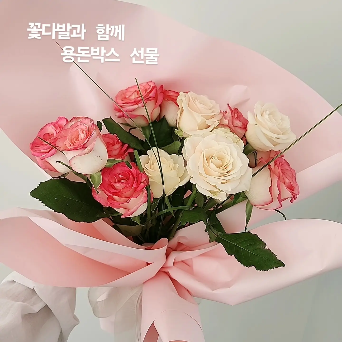 이미지 4