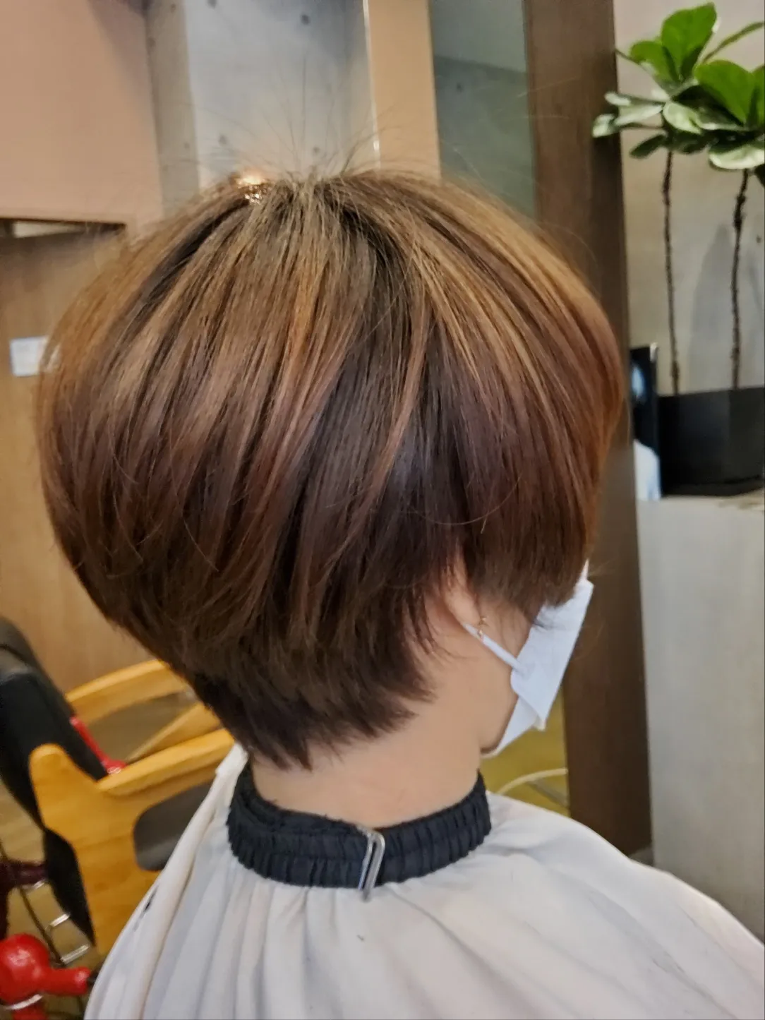 이미지 6