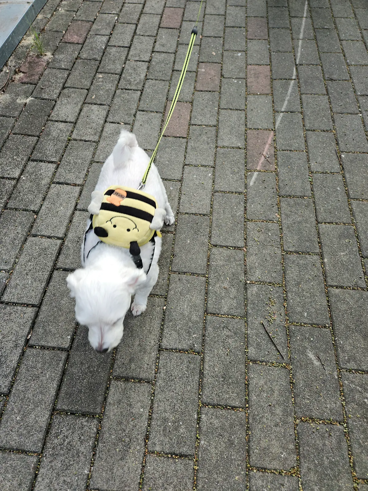 이미지 11