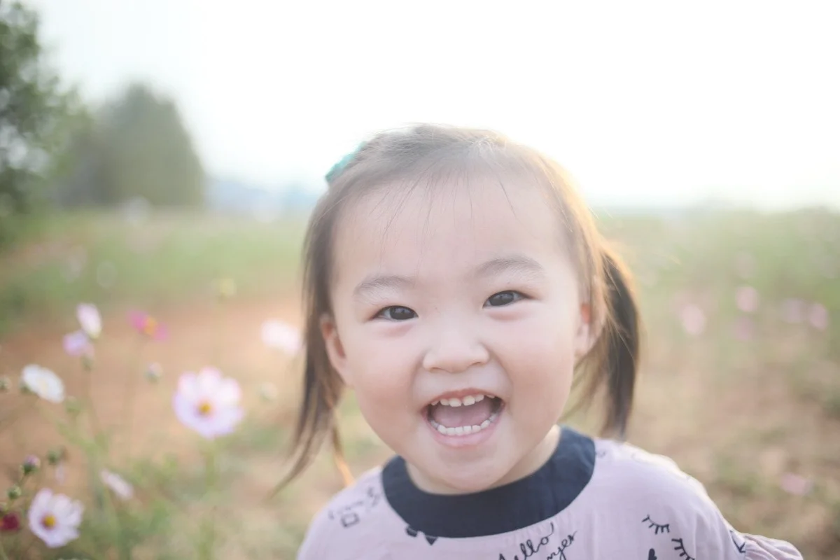 이미지 8
