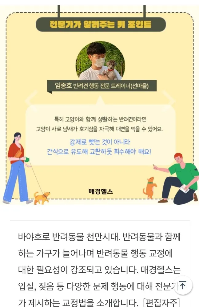 이미지 7