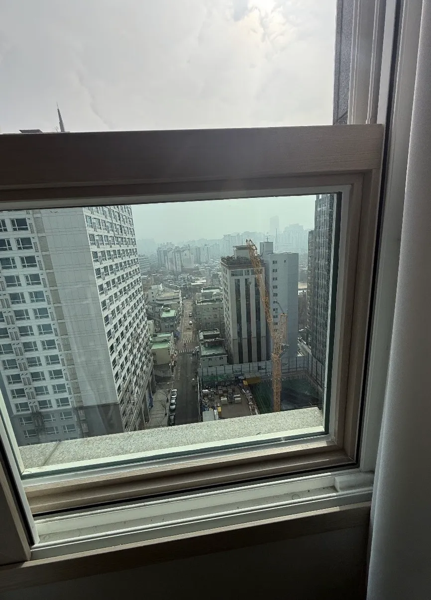 이미지 6