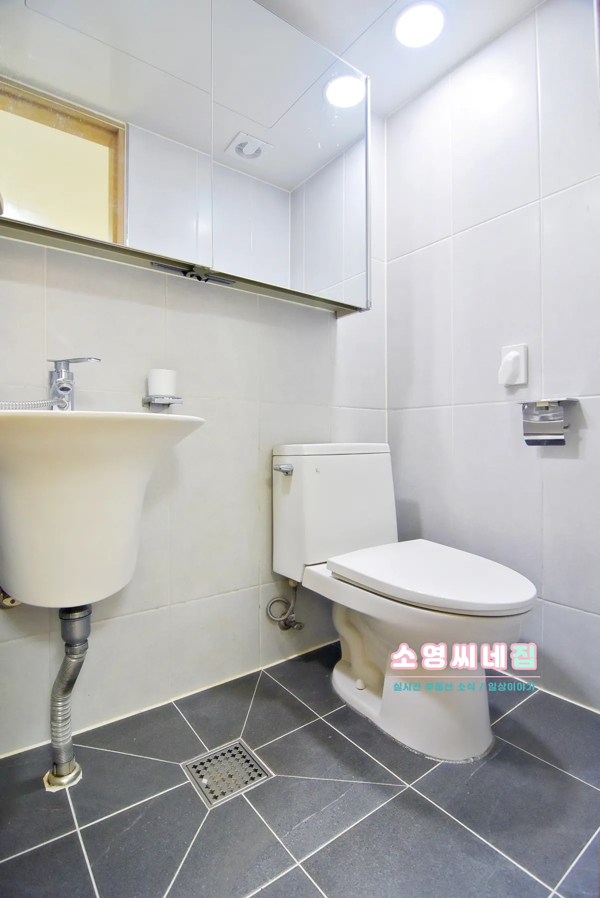 이미지 6