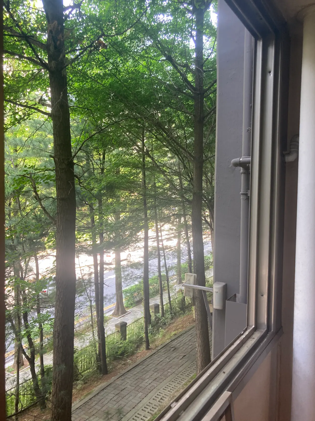 이미지 4