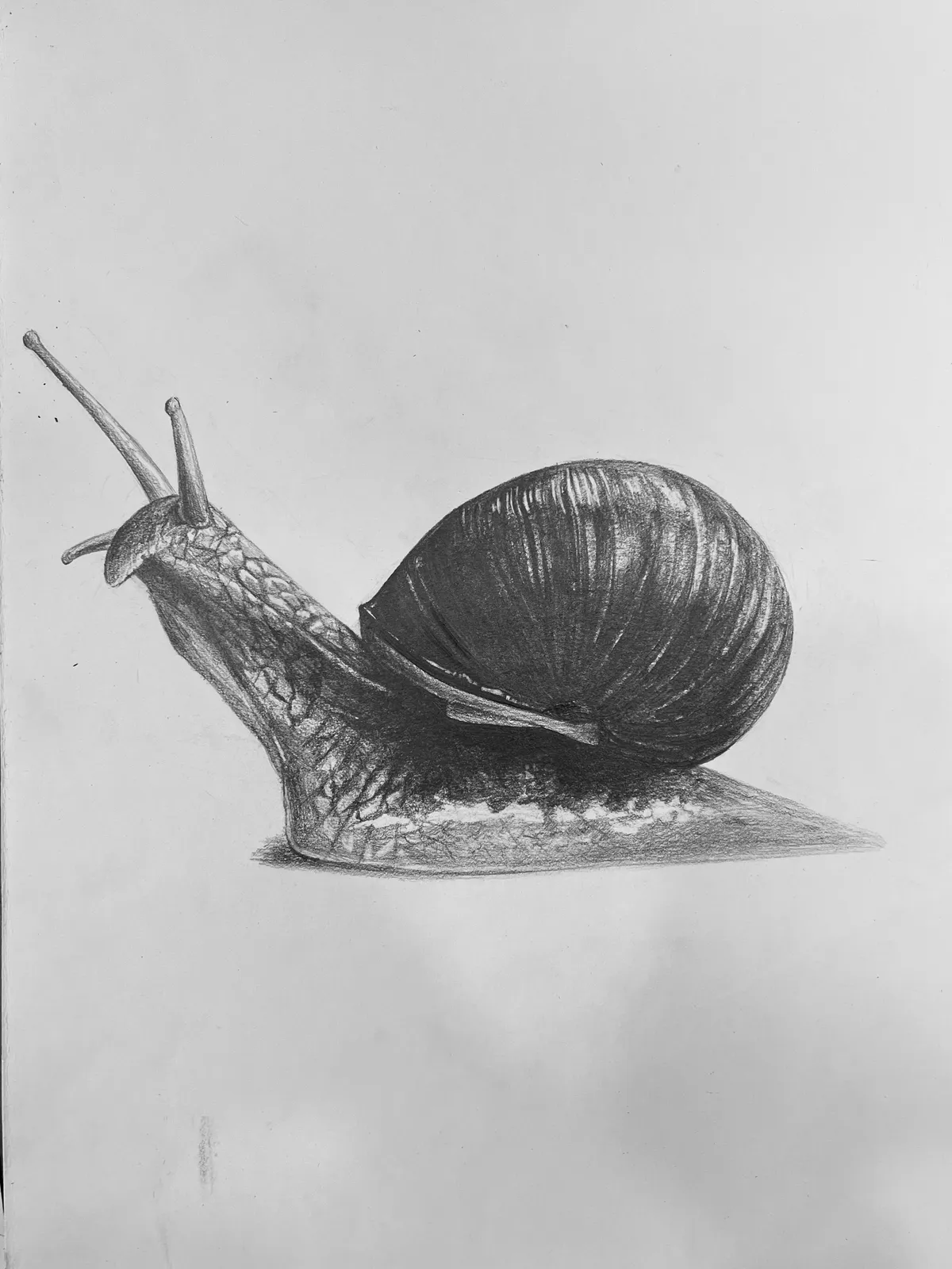 이미지 18
