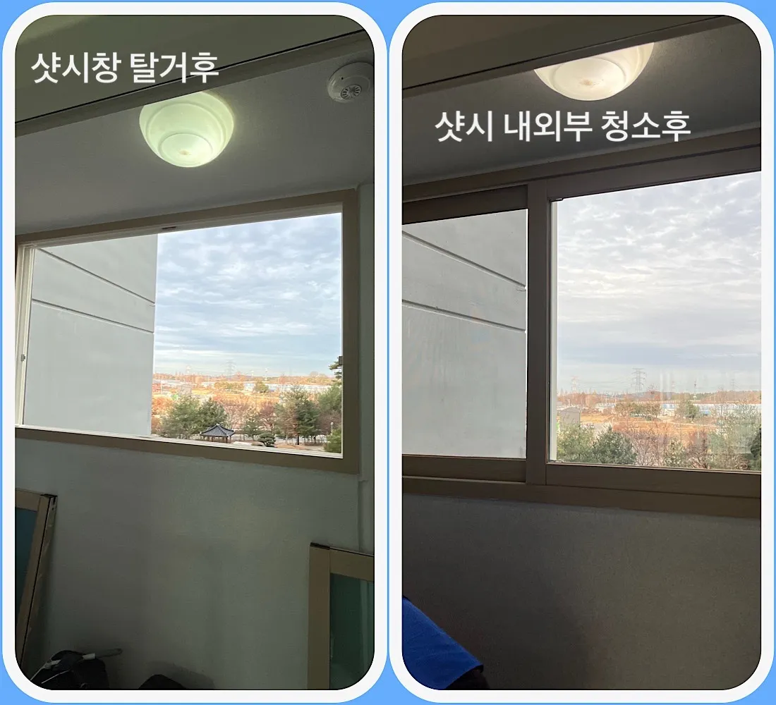 이미지 10