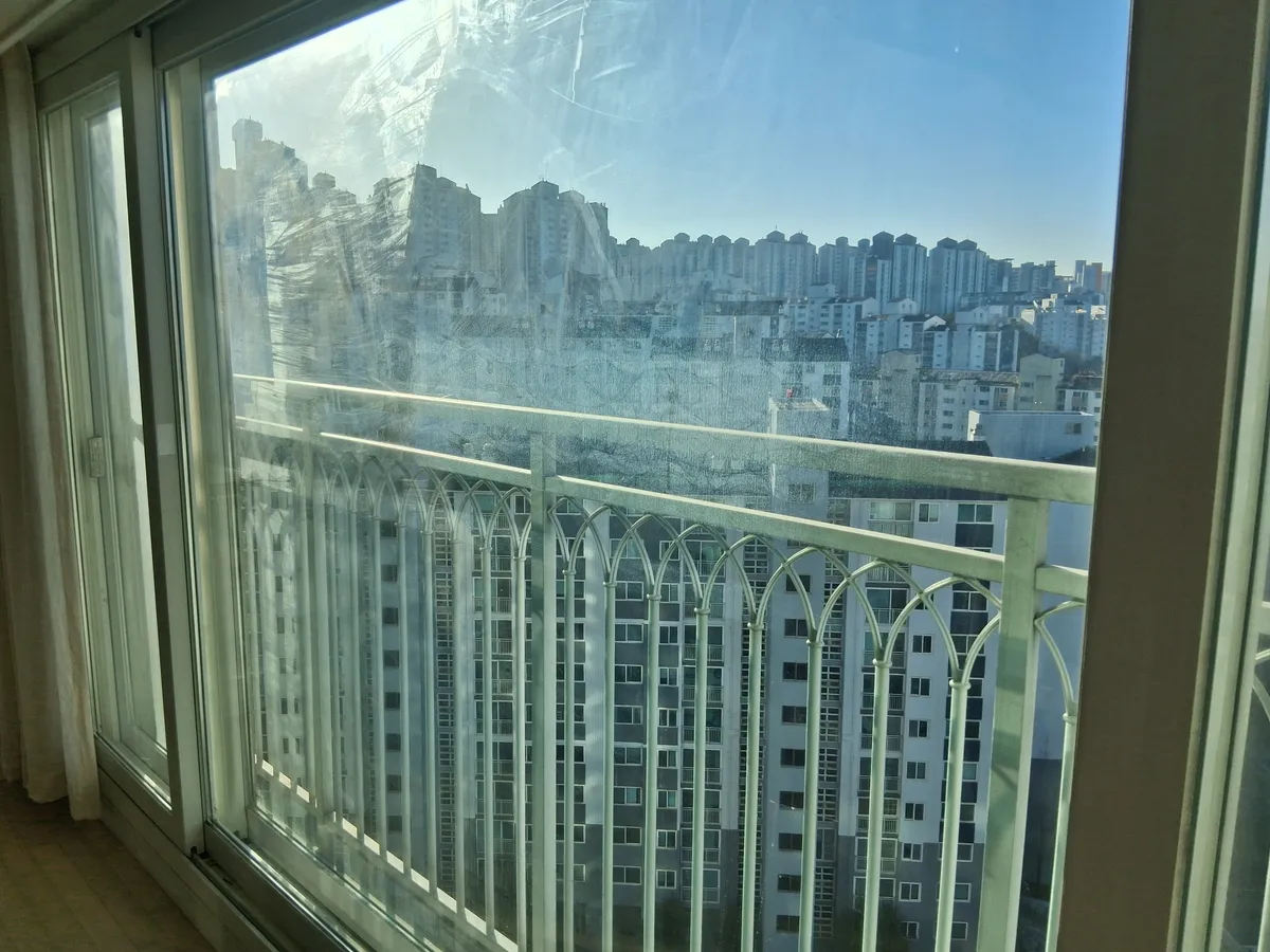 이미지 4
