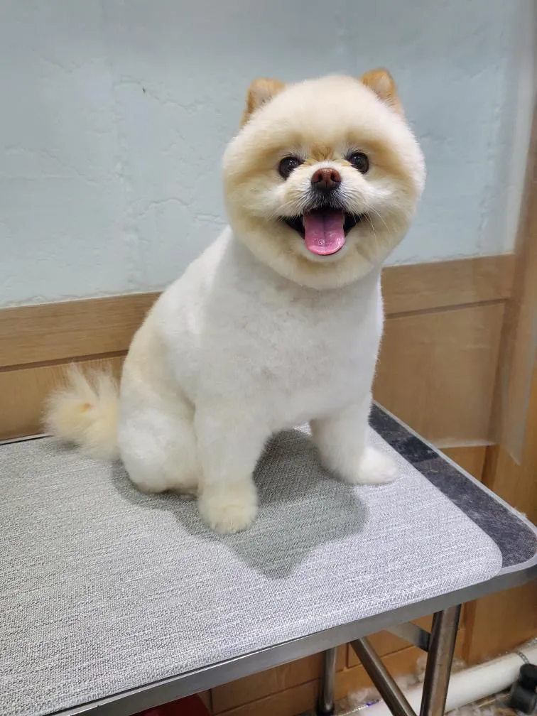 이미지 8