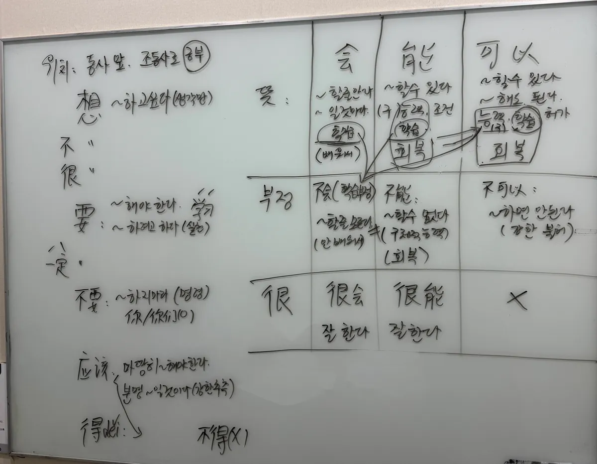 이미지 4