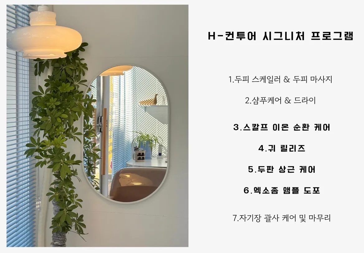 이미지 6