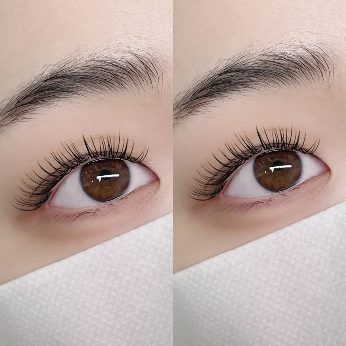 이미지 10