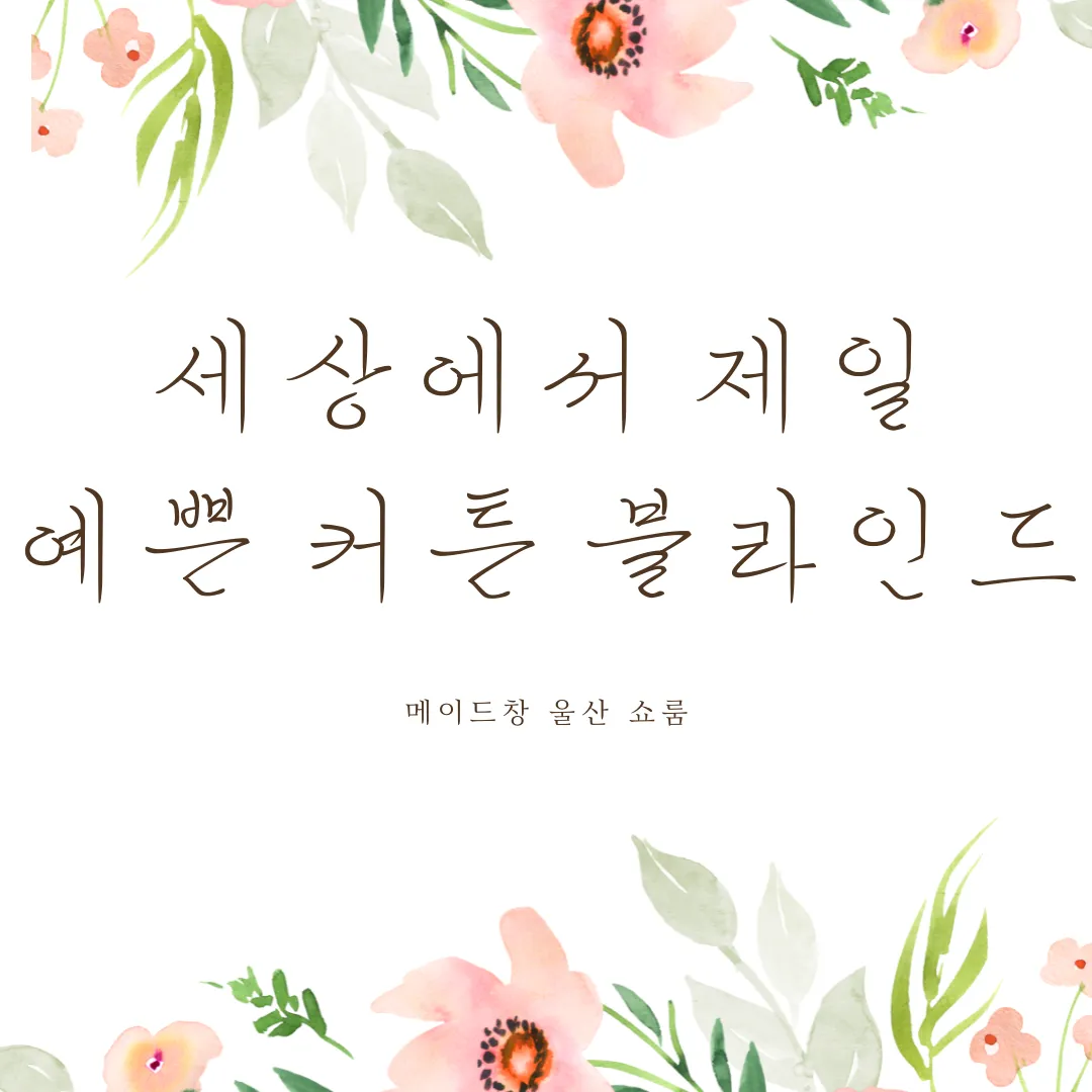 포트폴리오 이미지