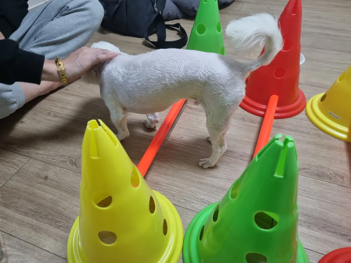 이미지 9