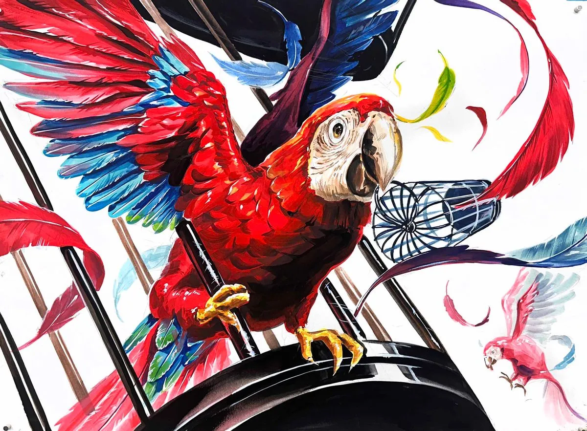 포트폴리오 이미지