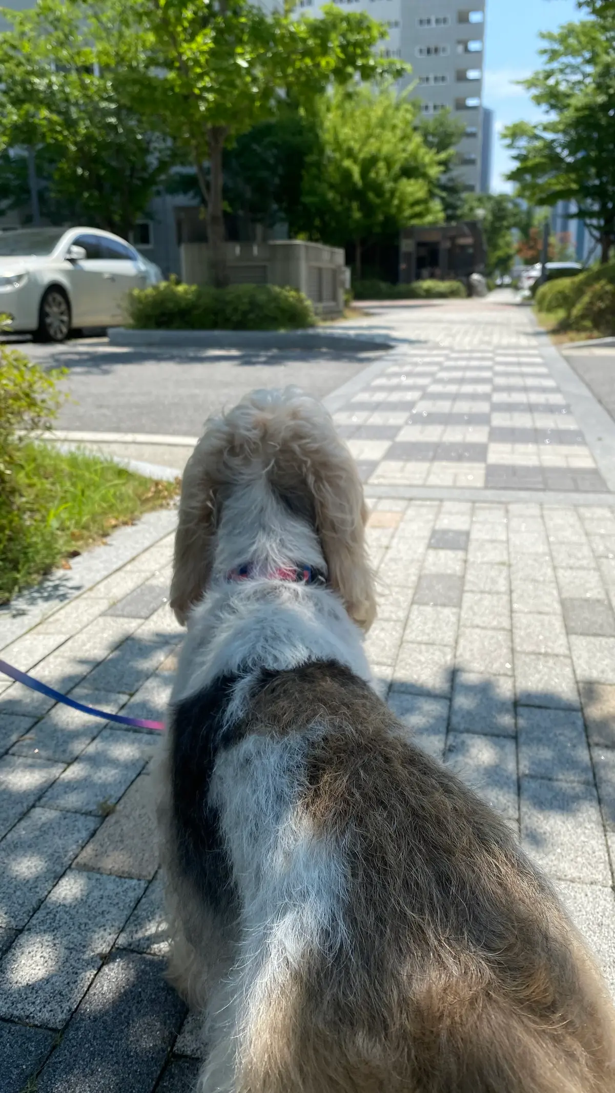 이미지 3