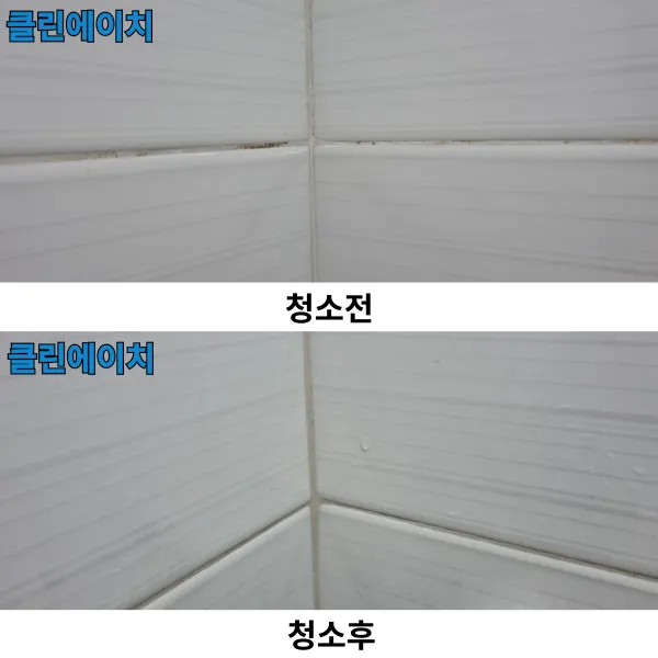 이미지 11