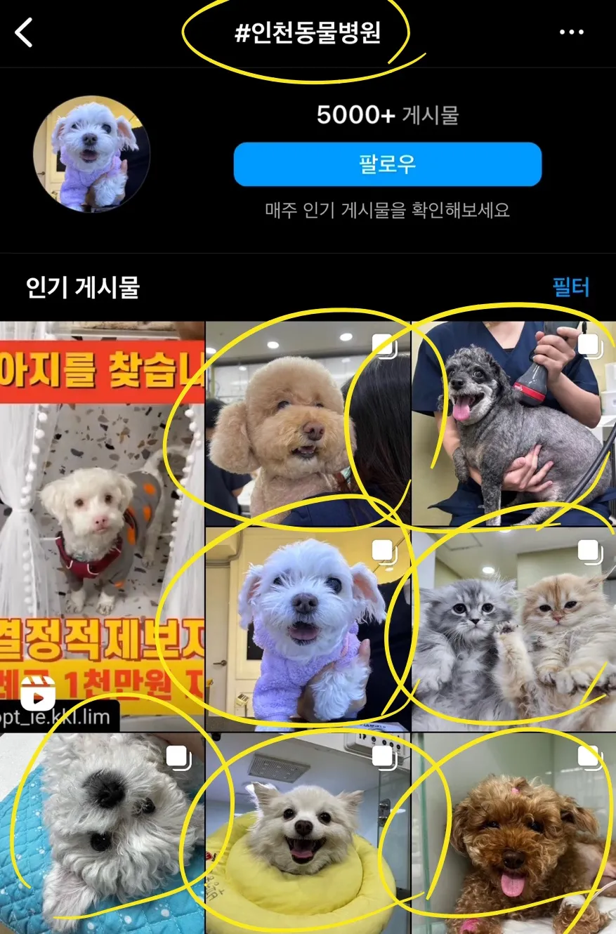 포트폴리오 이미지