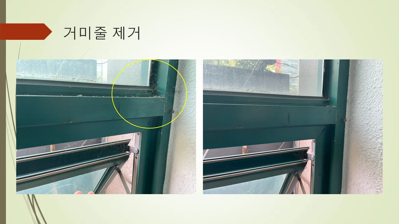 이미지 12