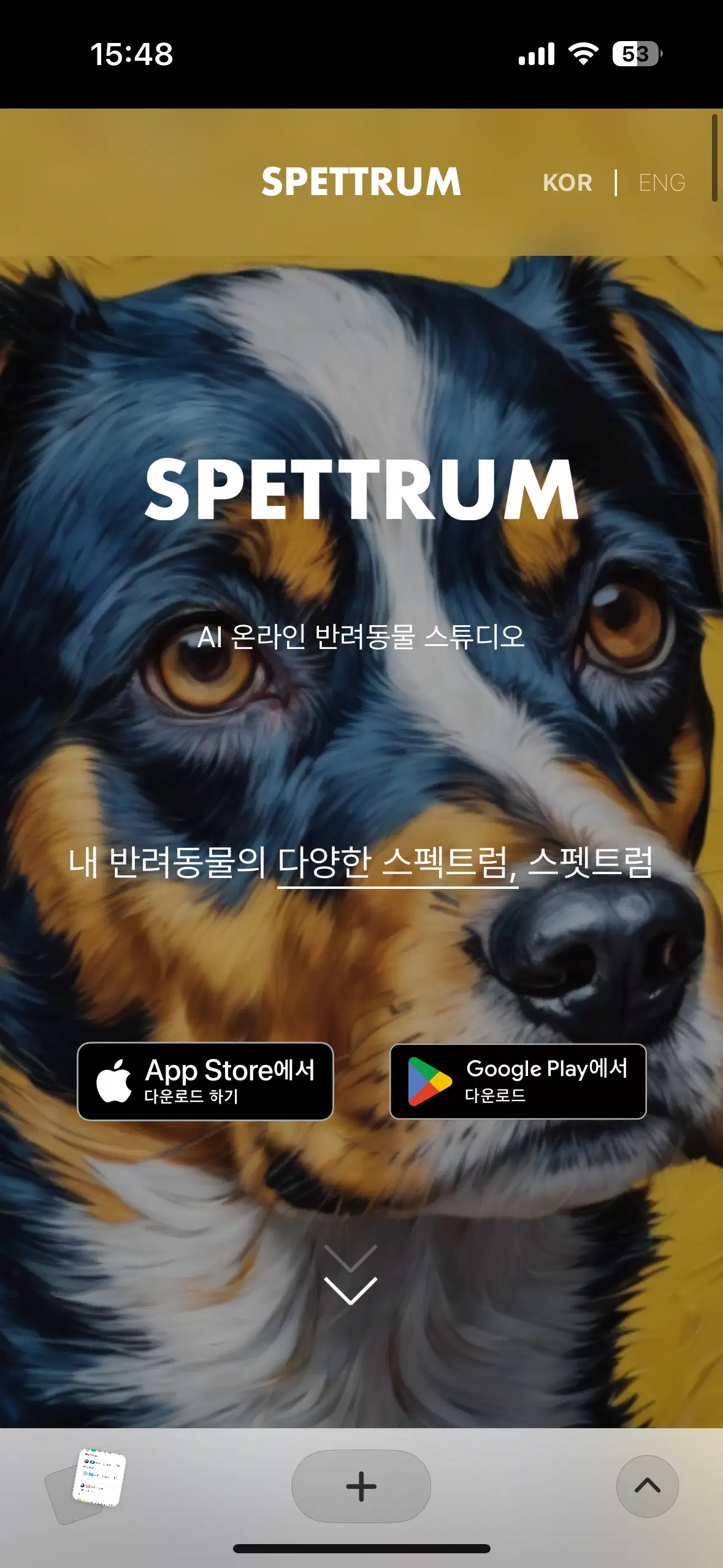 이미지 6