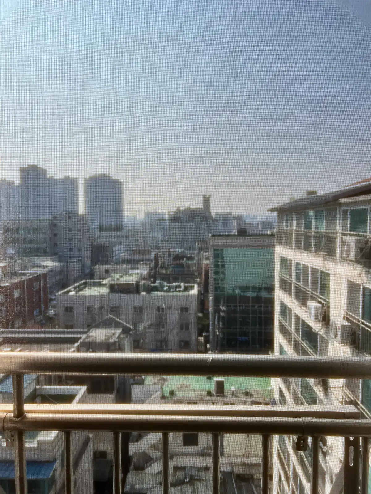 이미지 10