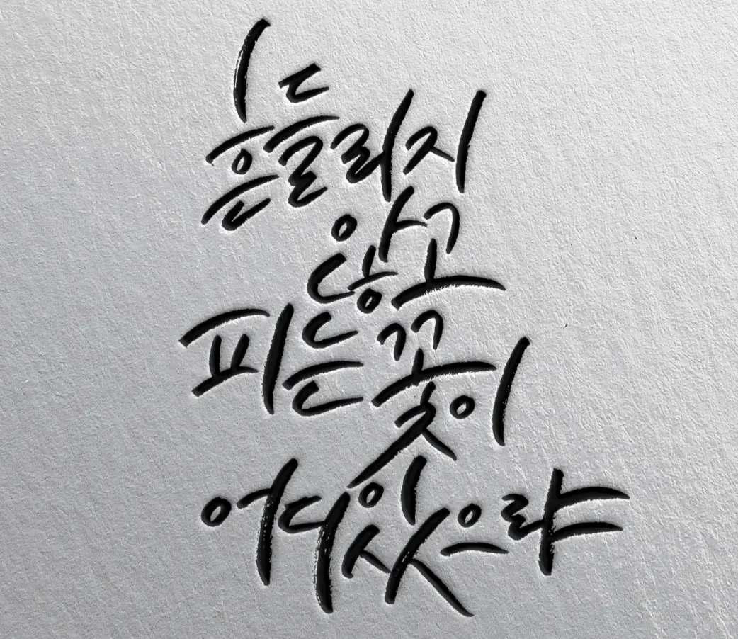 포트폴리오 이미지