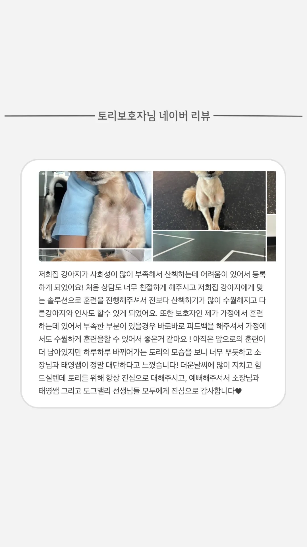 이미지 7