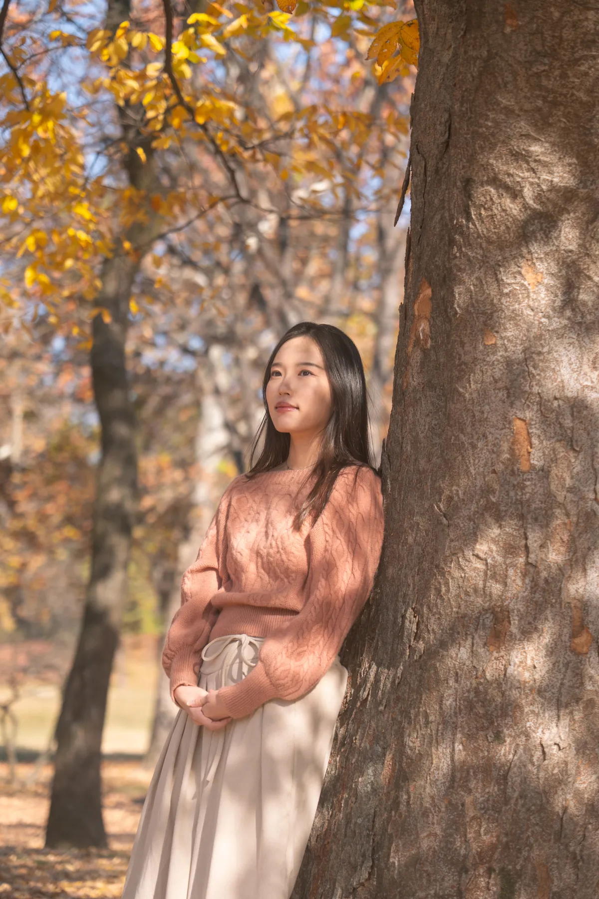 이미지 8