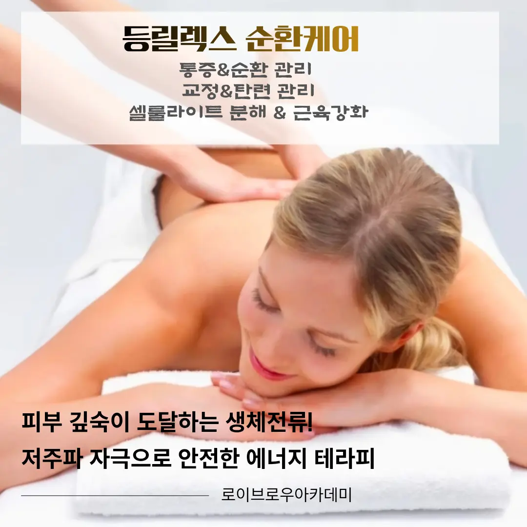 이미지 12