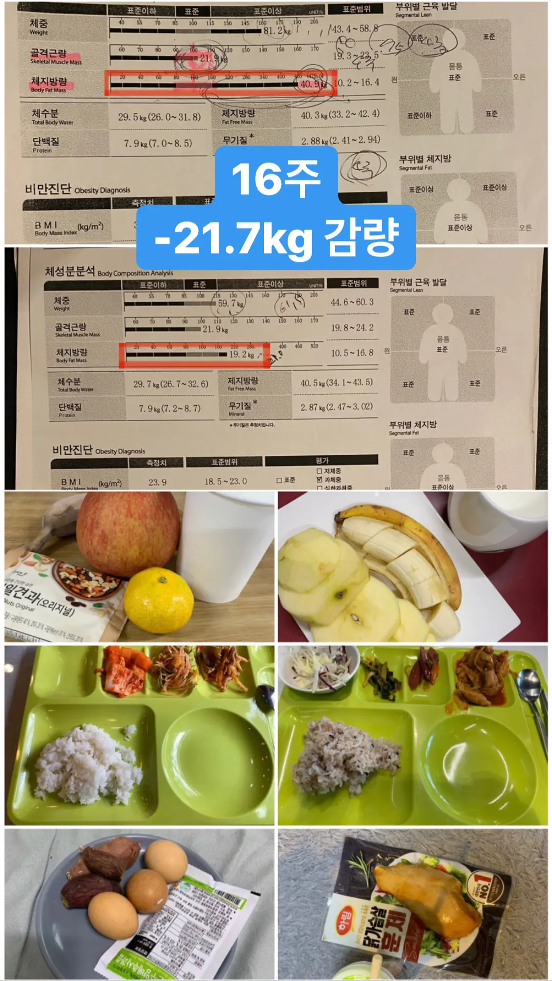 이미지 8