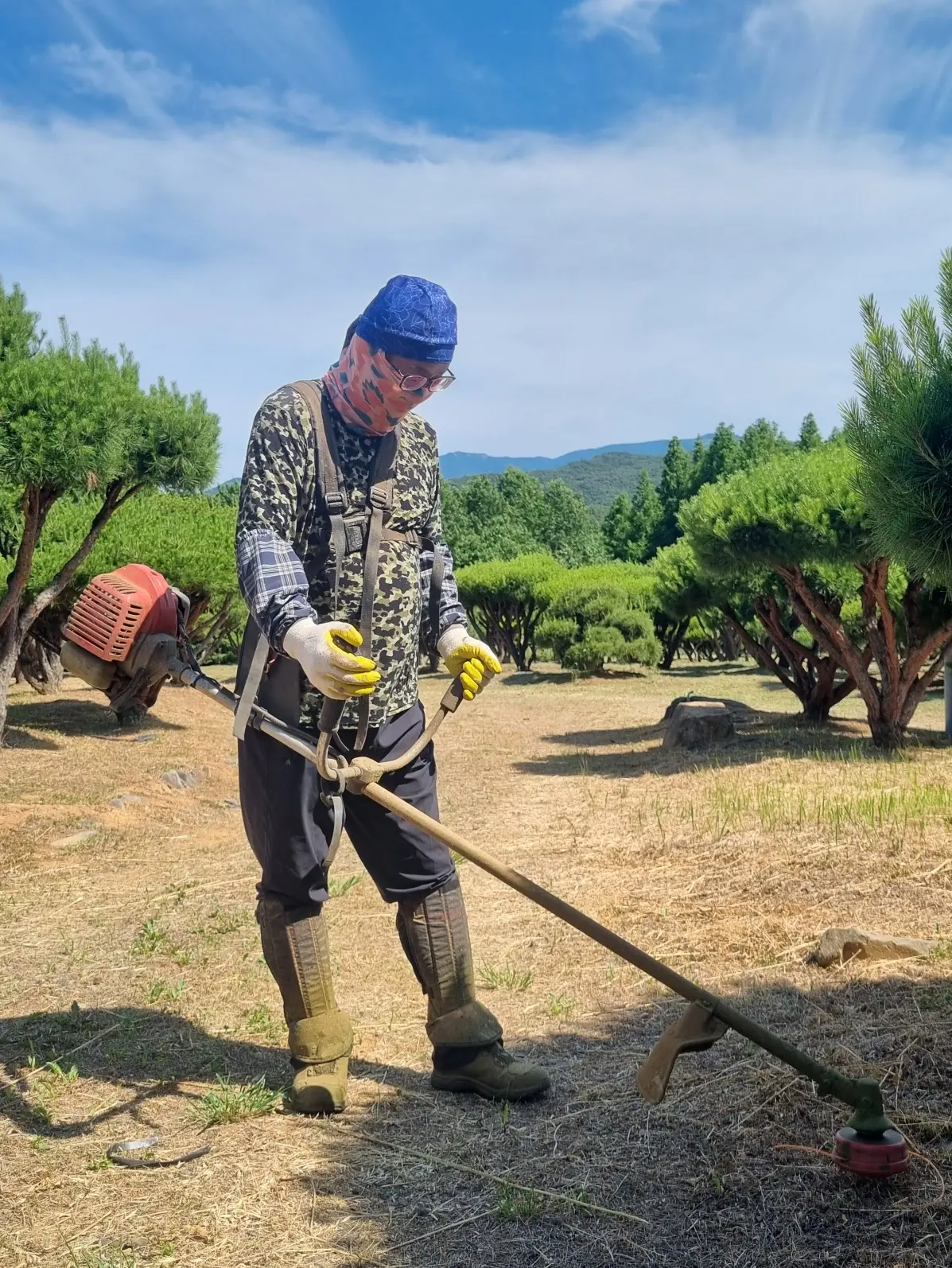 포트폴리오 이미지