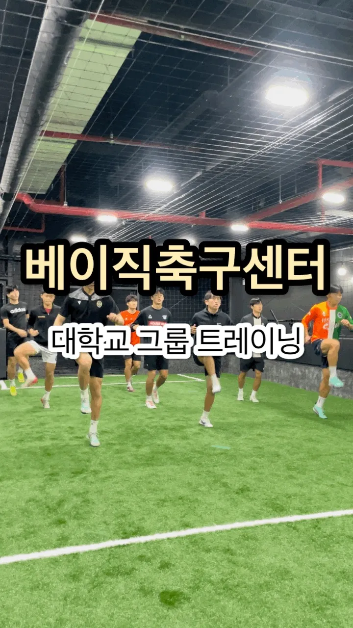 이미지 5
