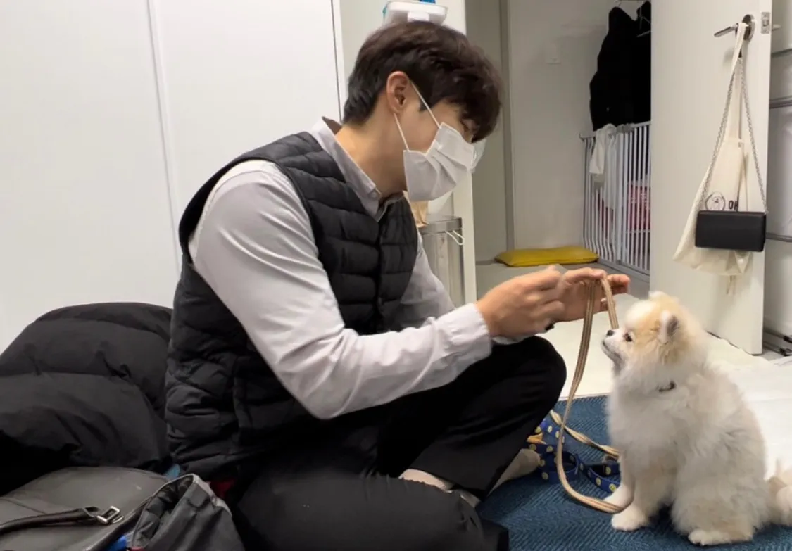 이미지 9