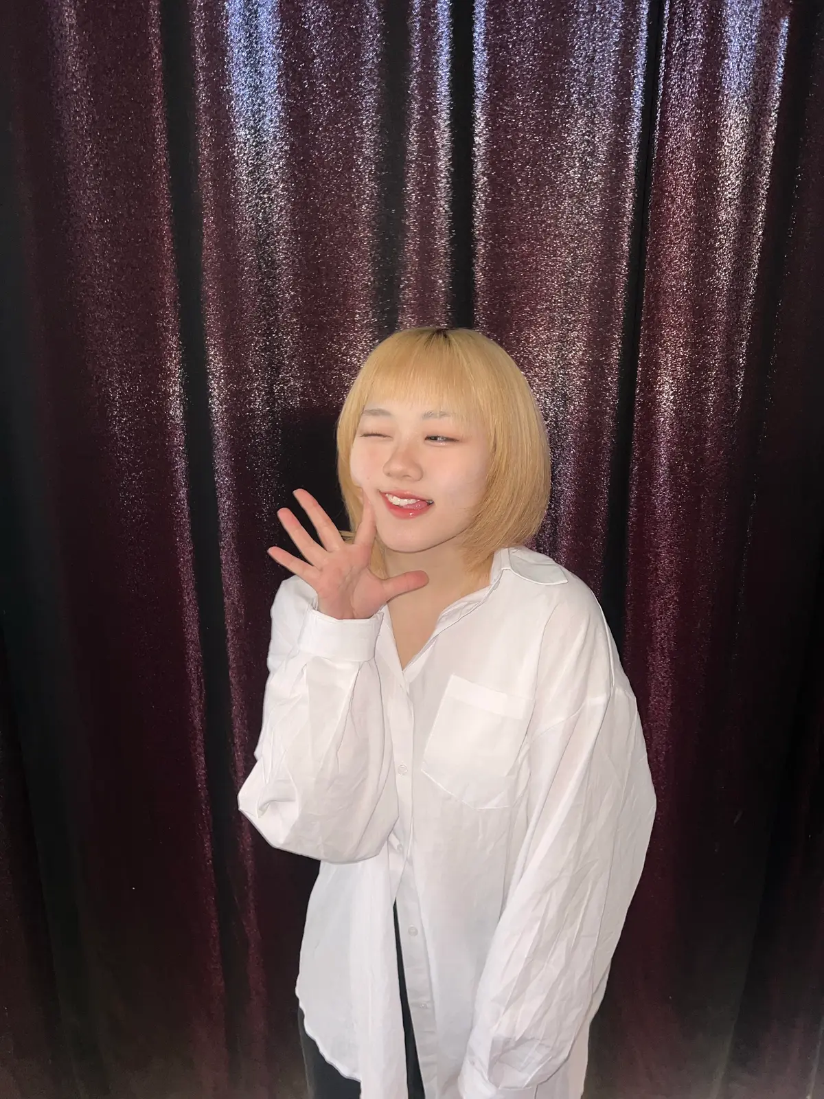 이미지 5