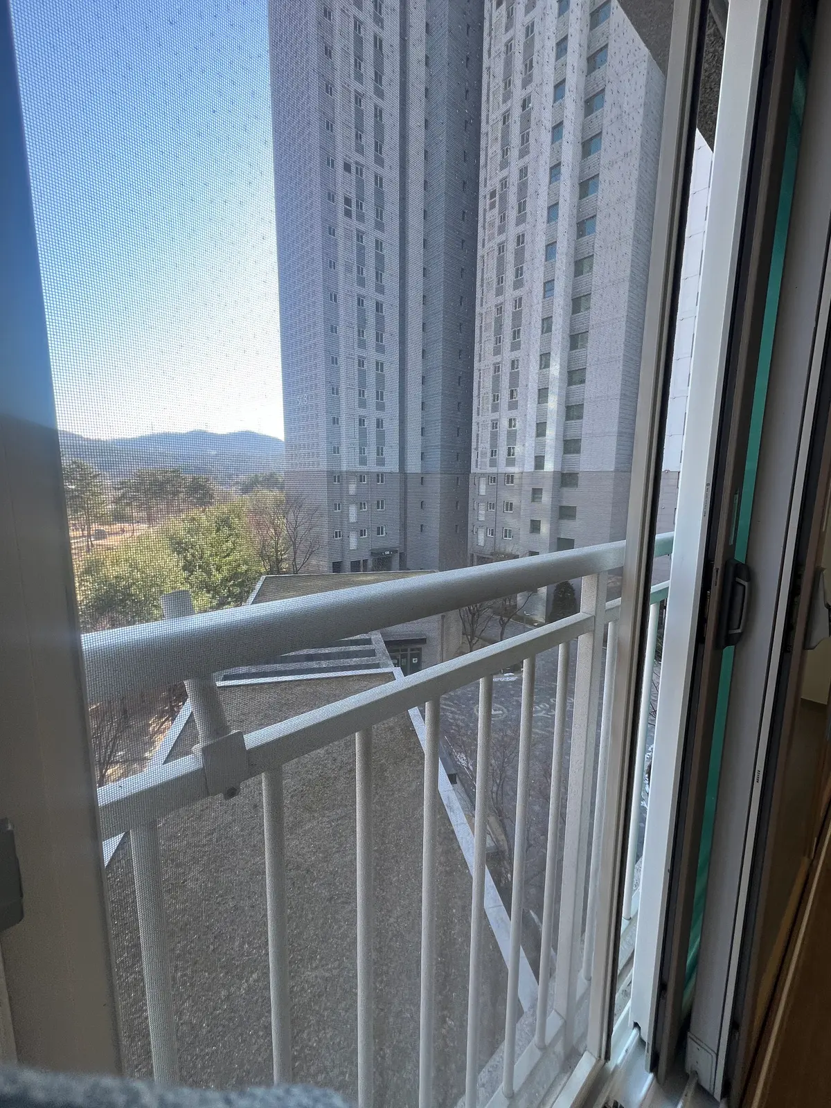 이미지 8