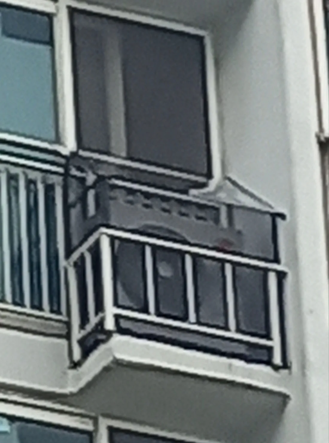 이미지 11