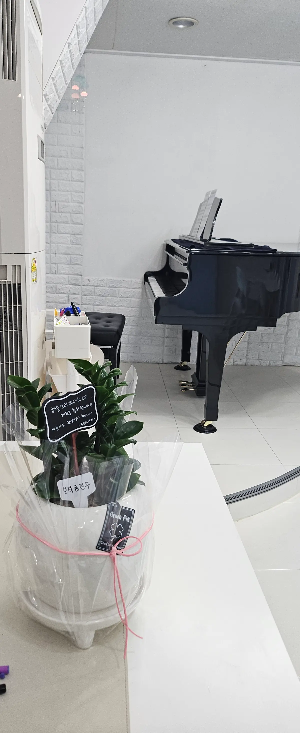 이미지 4
