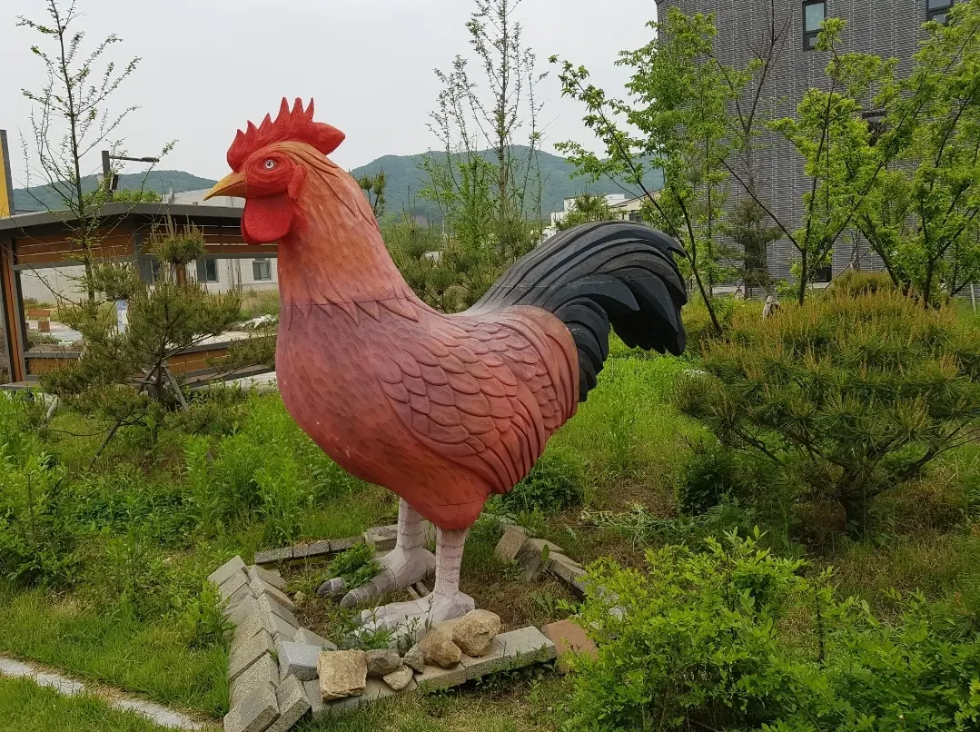 이미지 9