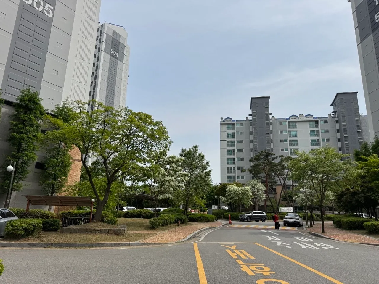 이미지 26